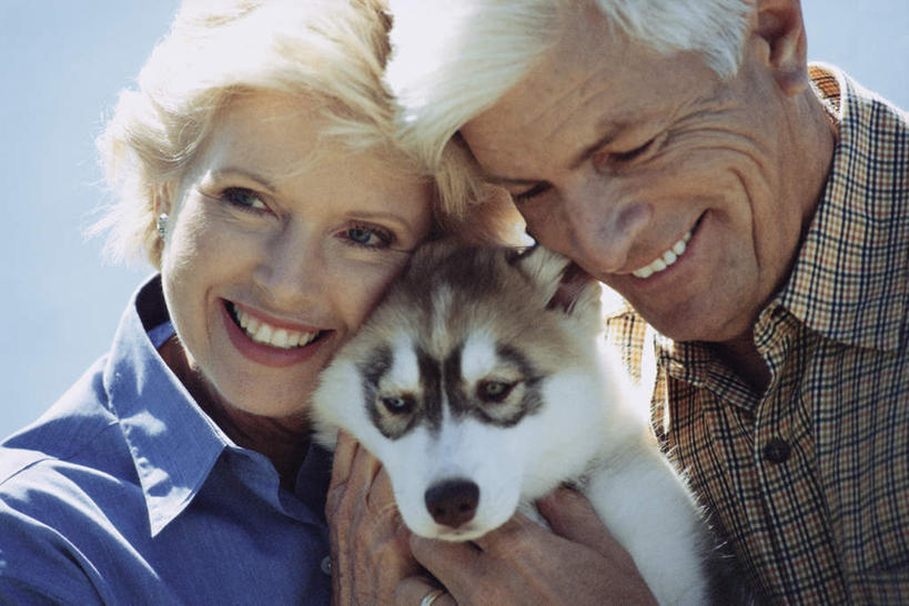 西方人,老年人,脸,头,脸颊,手,两个人,家庭,夫妻,站,抱,笑,微笑,露齿笑,横图,室外,特写,白天,正面,爱情,宠物,狗,欧洲,欧洲人,双手,阴影,服装,朦胧,模糊,光线,影子,浪漫,注视,休闲装,肩膀,一只,衣服,蓝色,蓝天,天空,阳光,动物,天,观察,看,站着,休闲,温暖,温馨,一家人,手部,休闲服,恩爱,可爱,恋人,服饰,晴朗,抱着,观看,和睦,察看,伯恩山犬,搂着,关注,忠诚,万里无云,伯尔尼兹山地犬,伯尼尔森嫩猎犬,伯尼塞牧牛犬,老年男性,老年女性,男人,男性,女人,女性,白种人,头部,脸部,脸蛋,面部,夫妇,情侣,晴空,晴空万里,犬,搂,搂抱,站立,半身,彩图,伴侣,融洽