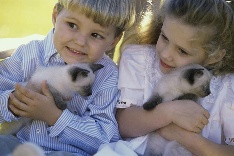 西方人,儿童,两个人,伙伴,朋友,坐,抱,笑,微笑,横图,室外,白天,正面,友谊,纯洁,宠物,猫,欧洲,欧洲人,阴影,服装,朦胧,模糊,光线,暹罗猫,影子,注视,休闲装,小孩,衣服,阳光,动物,观察,看,两只,休闲,休闲服,可爱,童年,童趣,服饰,抱着,观看,察看,搂着,关注,猫咪,童真,烂漫,无邪,泰国猫,西母猫,天真,友情,男孩,男人,男性,女孩,女人,女性,白种人,搂,搂抱,坐着,半身,彩图,男生,女生