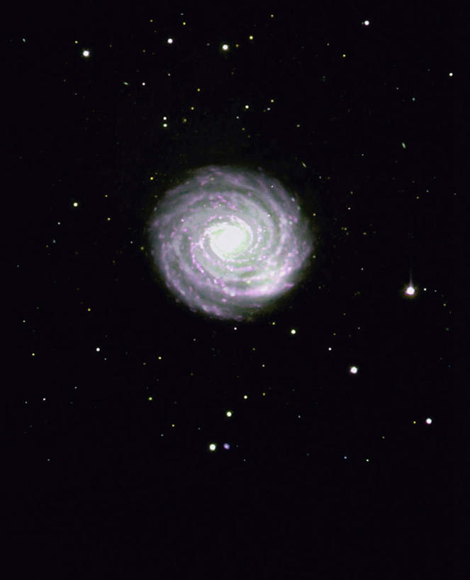 无人,竖图,室外,夜晚,正面,探险,神秘,宇宙,许多,黑色背景,科学,太空,星球,星星,星云,漩涡,排列,自然,探索,太阳系,星系,发现,恒星,天体,银河系,星体,天文学,外太空,旋涡星系,螺旋星云,NGC1288星系,天炉座,摆列,彩图,布列,分列