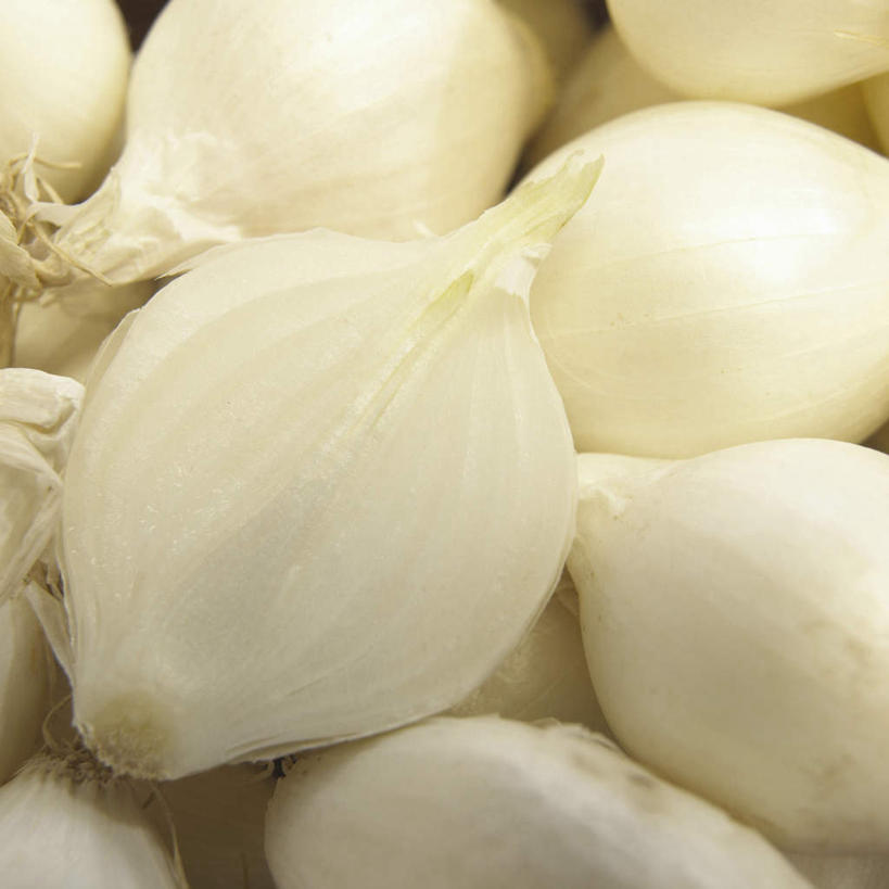 无人,方图,俯视,室内,特写,白天,餐桌,桌子,洋葱,一堆,许多,阴影,堆叠,堆积,反射,影子,白色,餐台,堆,卫生,玉葱,纯真,洁净,光明,恬静,中间色,朴素,清白,圆葱,洋葱头,球葱,葱头,彩图,高角度拍摄,白洋葱