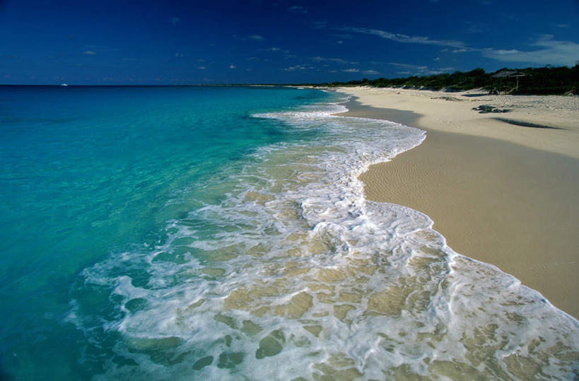 无人,横图,室外,白天,正面,旅游,度假,海浪,海洋,美景,沙滩,树林,植物,阴影,光线,沙子,影子,海岸,景观,浪花,水平线,云,云朵,辽阔,海平线,沙地,云彩,娱乐,树,树木,蓝色,绿色,白云,蓝天,天空,阳光,自然,海水,天,享受,休闲,广阔,景色,南美,放松,生长,晴朗,成长,一望无际,南美洲,西印度群岛,拉丁美洲,自然风光,美洲,海景,亚美利加洲,南亚美利加洲,凯科斯群岛,特克斯群岛,无边无际,一马平川,大海,风浪,海,海水的波动,海滩,近岸浪,涌浪,晴空,彩图,水天相接,水天一线