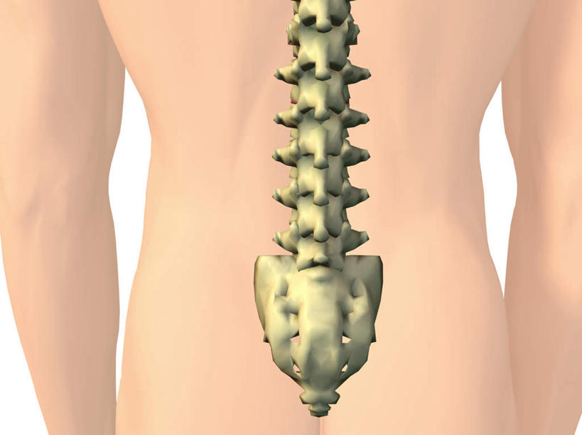 西方人,脊髓,骨盆,一个人,无人,横图,插画,室内,特写,白天,白色背景,正面,数码,科技,欧洲,欧洲人,仅一个男性,仅一个人,仅一个中年男性,阴影,网络,高光,几何,计算机图形,合成,图画,裸露,画,电脑合成图,数码合成图,合成图,裸,漫画,写实,具体,具象,骶骨,髋骨,尾骨,胯骨,男人,男性,中年男性,白种人,脊柱,半身,彩图