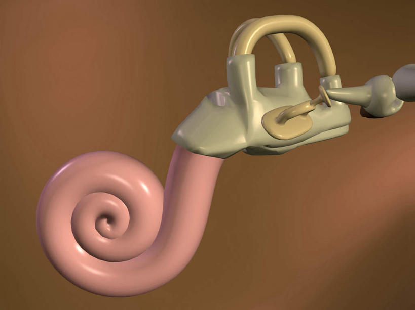 耳朵,无人,横图,插画,室内,特写,白天,正面,数码,科技,静物,阴影,棕色背景,网络,医学,漩涡,高光,几何,计算机图形,合成,图画,画,模型,人体,电脑合成图,数码合成图,生物学,人体器官,器官,合成图,漫画,耳廓,耳蜗,生理学,写实,具体,具象,内耳,中耳,听觉器官,耳膜,外耳,耳道,耳,耳部,彩图