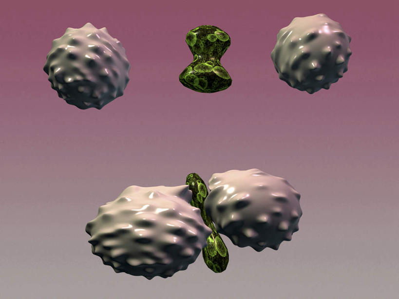 血管,无人,横图,插画,室内,白天,正面,数码,科技,微生物,阴影,科学,网络,医学,细胞,高光,几何,计算机图形,合成,图画,画,生物,电脑合成图,数码合成图,医疗,病毒,生物学,合成图,漫画,癌症,白细胞,写实,具体,具象,淋巴系统,淋巴细胞,白血病,寄生,生命体,生物病毒,血癌,淋巴,淋巴管,淋巴液,淋巴组织,免疫系统,免疫组织,白血球,彩图,免疫细胞