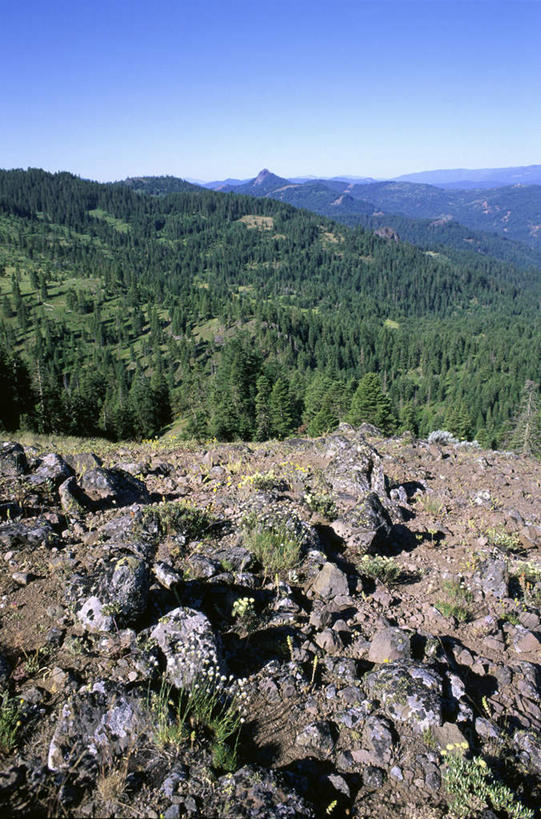 无人,竖图,俯视,室外,白天,旅游,度假,石头,美景,山,山脉,树林,植物,美国,阴影,光线,石子,影子,景观,山峰,山峦,娱乐,树,树木,蓝色,绿色,蓝天,天空,阳光,自然,群山,天,享受,休闲,景色,放松,生长,晴朗,成长,北美,北美洲,自然风光,美洲,俄勒冈州,万里无云,俄勒冈,北亚美利加洲,亚美利加洲,落日之州,水獭之州,海狸州,石块,岩石,晴空,晴空万里,彩图,高角度拍摄