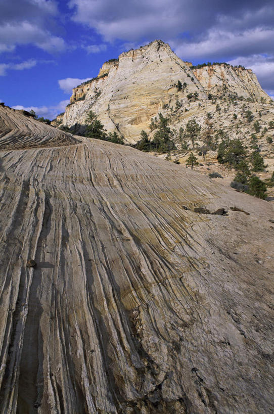 无人,公园,竖图,室外,白天,仰视,旅游,度假,草地,草坪,石头,美景,植物,美国,阴影,光线,纹路,石子,纹理,影子,景观,云,云朵,云彩,娱乐,草,蓝色,绿色,白云,蓝天,天空,阳光,自然,天,享受,休闲,景色,放松,晴朗,北美,北美洲,犹他州,自然风光,美洲,肌理,北亚美利加洲,亚美利加洲,犹他,蜂窝之州,蜂房州,锡安国家公园,宰恩国家公园,石块,岩石,晴空,彩图,低角度拍摄
