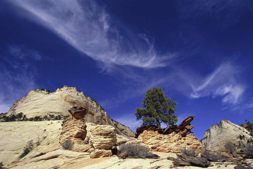 无人,公园,横图,室外,白天,仰视,旅游,度假,石头,美景,山,山脉,植物,美国,纹路,石子,纹理,景观,山峰,云,云朵,山峦,云彩,娱乐,树,树木,蓝色,绿色,白云,蓝天,天空,自然,群山,天,享受,休闲,景色,放松,生长,晴朗,成长,北美,北美洲,犹他州,自然风光,美洲,肌理,北亚美利加洲,亚美利加洲,犹他,蜂窝之州,蜂房州,锡安国家公园,宰恩国家公园,石块,岩石,晴空,彩图,低角度拍摄