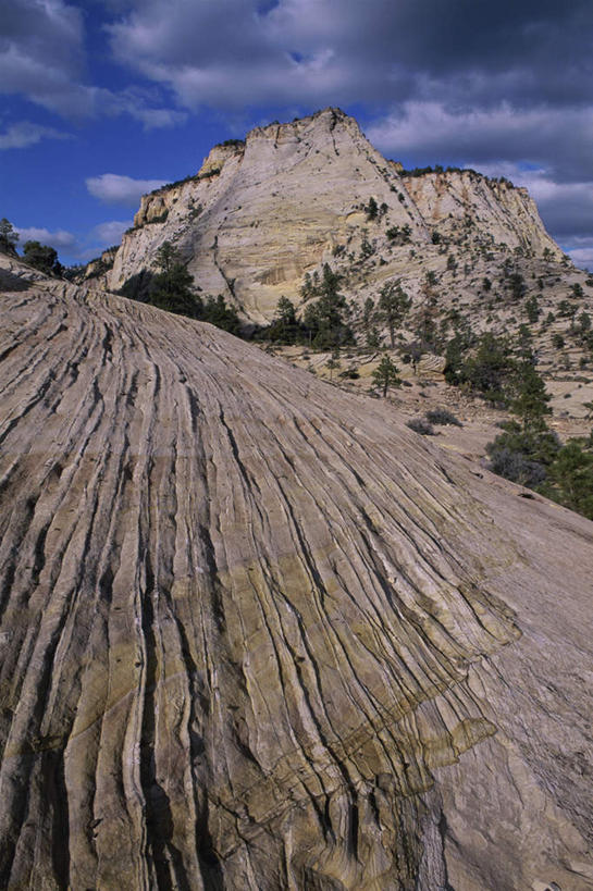 无人,公园,竖图,室外,白天,正面,旅游,度假,石头,美景,山,山脉,美国,阴影,光线,纹路,石子,纹理,影子,景观,山峰,云,云朵,山峦,云彩,娱乐,蓝色,白云,蓝天,天空,阳光,自然,群山,天,享受,休闲,景色,放松,晴朗,北美,北美洲,犹他州,自然风光,美洲,肌理,北亚美利加洲,亚美利加洲,犹他,蜂窝之州,蜂房州,锡安国家公园,宰恩国家公园,石块,岩石,晴空,彩图
