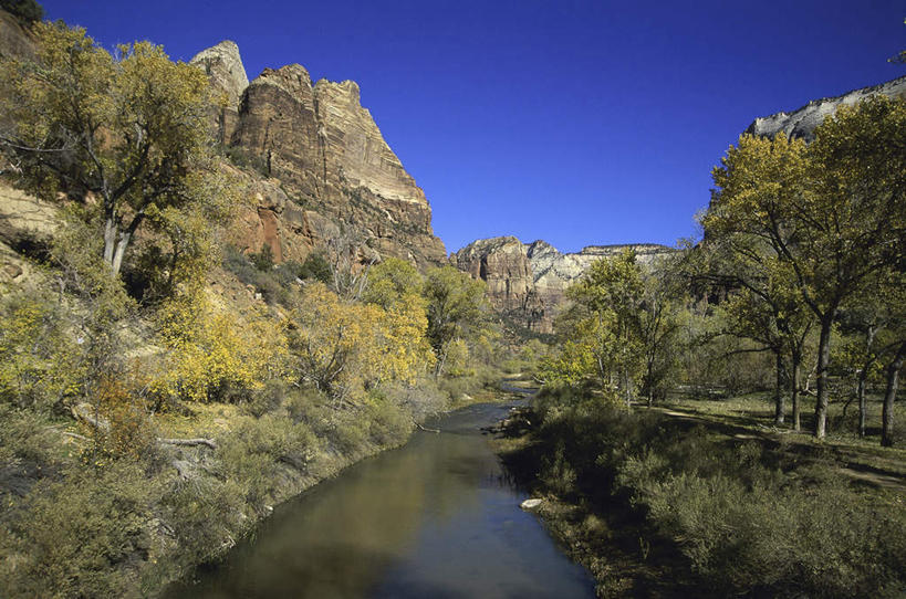 无人,公园,横图,室外,白天,正面,旅游,度假,河流,石头,美景,山,山脉,水,植物,美国,阴影,光线,石子,影子,河水,景观,山峰,水流,山峦,娱乐,树,树木,蓝色,绿色,蓝天,天空,阳光,自然,群山,天,享受,休闲,景色,放松,生长,晴朗,成长,北美,北美洲,犹他州,自然风光,美洲,万里无云,北亚美利加洲,亚美利加洲,犹他,蜂窝之州,蜂房州,锡安国家公园,宰恩国家公园,石块,岩石,晴空,晴空万里,彩图