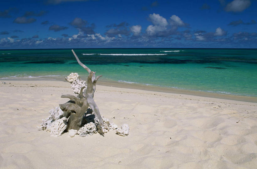 无人,横图,室外,白天,正面,旅游,度假,海浪,海洋,美景,沙滩,植物,非洲,塞舌尔,沙子,海岸,景观,浪花,水平线,云,云朵,辽阔,枝条,海平线,沙地,云彩,娱乐,树,树木,树枝,蓝色,白云,蓝天,天空,自然,海水,天,享受,休闲,广阔,景色,放松,晴朗,一望无际,自然风光,海景,塞舌尔共和国,阿非利加洲,东非,无边无际,一马平川,虬枝,枝杈,大海,风浪,海,海水的波动,海滩,近岸浪,涌浪,晴空,彩图,水天相接,水天一线