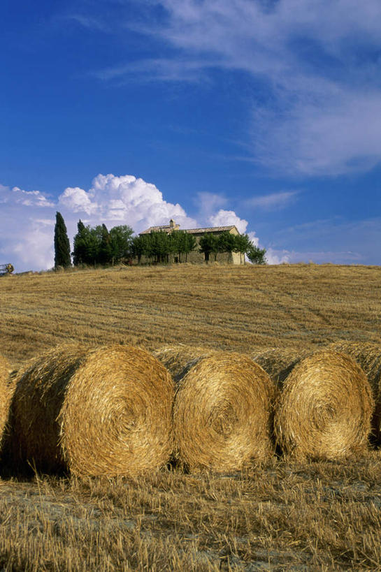 无人,家,木屋,农田,竖图,室外,白天,正面,旅游,度假,庄稼,农作物,美景,意大利,欧洲,一排,阴影,整齐,光线,影子,景观,云,云朵,干草,云彩,娱乐,住宅,排列,蓝色,白云,蓝天,天空,阳光,自然,草垛,天,享受,休闲,景色,放松,晴朗,队列,南欧,自然风光,意大利共和国,首府,奥斯塔,瓦莱达奥斯塔,瓦莱达奥斯塔大区,干草垛,晴空,彩图,耕地,庄稼田,茅舍,茅屋,棚屋,小木屋,小屋