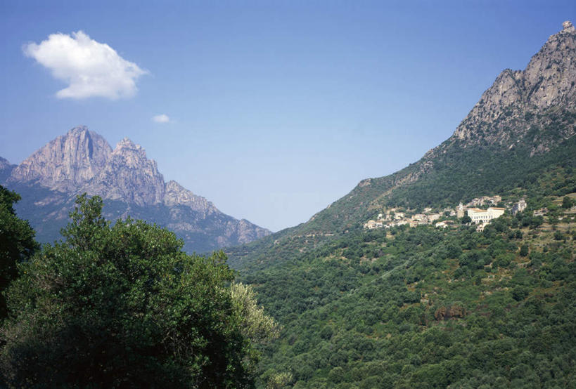 无人,横图,室外,白天,正面,旅游,度假,美景,山,山脉,树林,植物,法国,欧洲,阴影,光线,影子,景观,山峰,云,云朵,山峦,云彩,娱乐,树,树木,蓝色,绿色,白云,蓝天,天空,阳光,自然,群山,天,享受,休闲,景色,放松,生长,晴朗,成长,科西嘉,科西嘉岛,自然风光,法兰西共和国,法兰西第五共和国,科西嘉大区,晴空,彩图