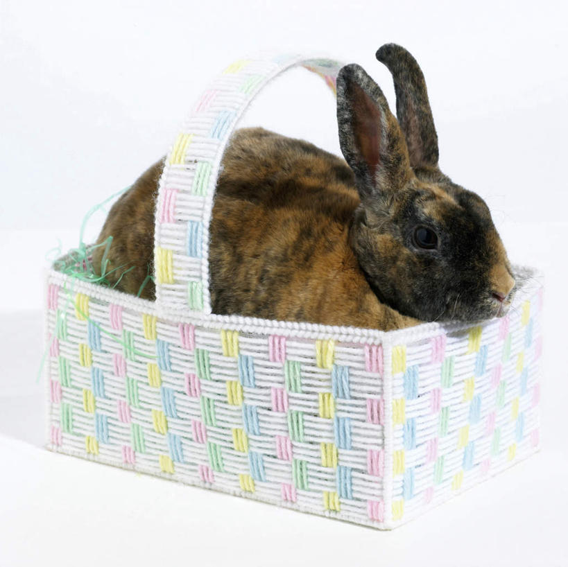 无人,交叉,横图,室内,白天,白色背景,侧面,竹子,哺乳动物,阴影,竹制,编织,反射,兔子,篮子,影子,一个,一只,动物,竹篮,趴着,摄影,影棚,单个,竹条,兔,交织,竹制品,穿插,趴,彩图,全身,影棚拍摄,拍摄