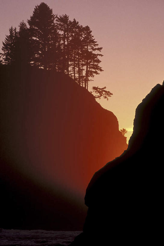 无人,公园,竖图,室外,白天,正面,旅游,度假,美景,日落,山,山脉,植物,华盛顿,美国,朦胧,模糊,景观,山峰,晚霞,霞光,落日,山峦,背光,娱乐,树,树木,绿色,自然,黄昏,群山,享受,休闲,景色,彩霞,放松,生长,成长,北美,北美洲,国家公园,自然风光,美洲,逆光,华盛顿州,奥林匹克国家公园,首府,常绿之州,常青州,北亚美利加洲,亚美利加洲,奥林匹亚,奥林比亚,奥林佩亚,奥林匹克半岛,奥林匹亚国家公园,奥林比亚国家公园,奥林佩亚国家公园,夕照,夕阳,彩图,斜阳