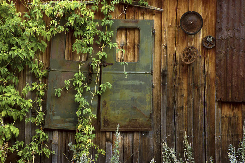 无人,家,木屋,横图,室外,白天,正面,旅游,度假,美景,植物,叶子,美国,阴影,光线,影子,景观,常春藤,爬山虎,绿叶,草药,娱乐,中药,住宅,阳光,自然,享受,休闲,嫩叶,景色,放松,北美,北美洲,自然风光,美洲,药材,中草药,爬墙虎,中药材,本草,爱达荷州,地锦,趴山虎,巴山虎,北亚美利加洲,亚美利加洲,爱达荷,爱达华州,宝石之州,宝石州,叶,叶片,彩图,茅舍,茅屋,棚屋,小木屋,小屋,常青藤
