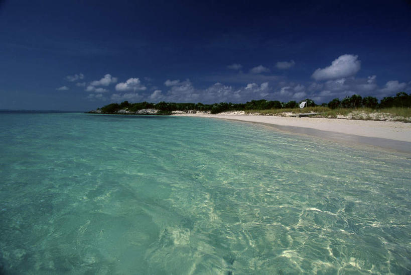 无人,横图,室外,白天,正面,旅游,度假,海浪,海洋,美景,沙滩,植物,棕榈树,叶子,阴影,光线,沙子,影子,海岸,景观,浪花,云,云朵,绿叶,沙地,云彩,娱乐,树,树木,蓝色,绿色,白云,蓝天,天空,阳光,自然,海水,天,享受,休闲,嫩叶,景色,南美,放松,生长,晴朗,成长,南美洲,西印度群岛,拉丁美洲,自然风光,美洲,海景,棕榈叶,亚美利加洲,南亚美利加洲,凯科斯群岛,特克斯群岛,叶,叶片,大海,风浪,海,海水的波动,海滩,近岸浪,涌浪,晴空,彩图