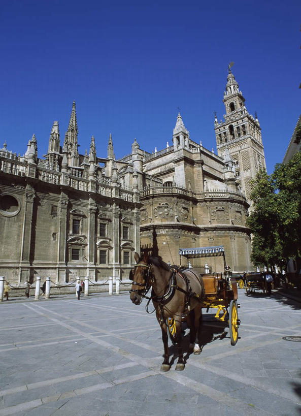 无人,教堂,站,竖图,室外,白天,正面,旅游,度假,植物,标志建筑,地标,建筑,马,野生动物,西班牙,欧洲,阴影,节日,光线,影子,马车,文化,娱乐,建设,安达卢西亚,塞维利亚,塞维利亚大教堂,一匹,车,树,树木,蓝色,绿色,蓝天,天空,阳光,自然,动物,交通工具,天,祈祷,站着,享受,休闲,健康,旅游胜地,放松,许愿,运输,宗教,牲畜,信仰,生长,晴朗,成长,纪念,祈求,南欧,载具,安达鲁西亚,信念,万里无云,首府,西班牙王国,安达卢西亚自治区,平安,晴空,晴空万里,站立,彩图,全身,大教堂,礼拜堂