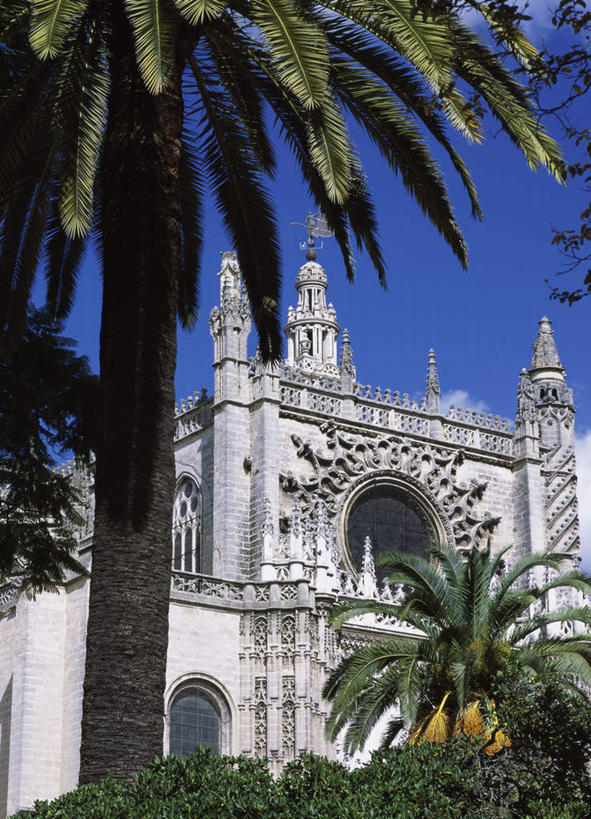 无人,教堂,竖图,室外,白天,仰视,旅游,度假,植物,门,标志建筑,地标,建筑,棕榈树,叶子,西班牙,欧洲,阴影,节日,光线,影子,墙,拱门,绿叶,文化,娱乐,建设,安达卢西亚,塞维利亚,塞维利亚大教堂,墙壁,墙面,树,树木,蓝色,绿色,蓝天,天空,阳光,自然,门框,天,祈祷,享受,休闲,健康,嫩叶,旅游胜地,放松,许愿,宗教,信仰,生长,晴朗,成长,纪念,祈求,基督教,南欧,天主教,安达鲁西亚,信念,棕榈叶,万里无云,首府,西班牙王国,安达卢西亚自治区,平安,叶,叶片,晴空,晴空万里,彩图,低角度拍摄,大教堂,礼拜堂