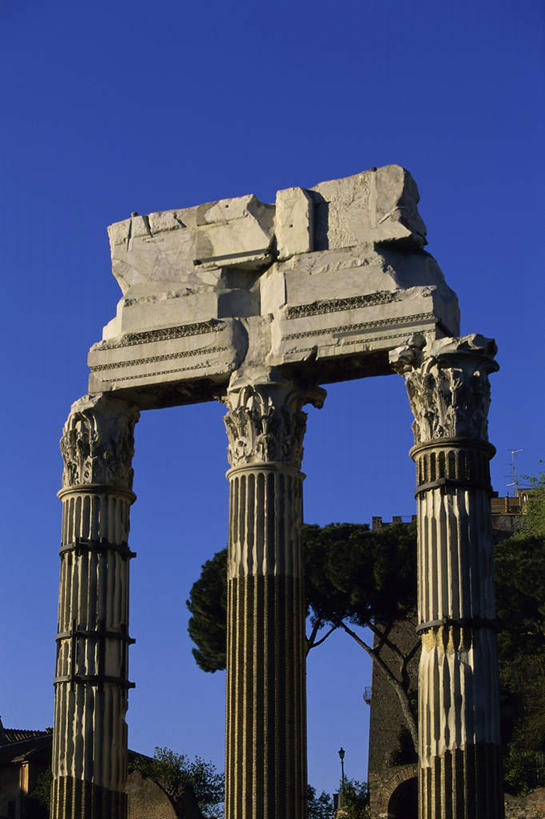 无人,竖图,室外,白天,仰视,旅游,度假,石头,名胜古迹,植物,标志建筑,地标,建筑,意大利,欧洲,阴影,遗迹,光线,石子,影子,柱子,古迹,文物,娱乐,建设,古建筑,废墟,树,树木,蓝色,绿色,蓝天,天空,阳光,自然,天,享受,休闲,旅游胜地,放松,生长,晴朗,成长,拉齐奥,南欧,古文明,古罗马广场,万里无云,意大利共和国,拉齐奥大区,古罗马市场,露天博物馆,石块,岩石,晴空,晴空万里,彩图,低角度拍摄