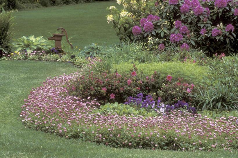 无人,横图,俯视,室外,白天,旅游,度假,草地,草坪,花海,花圃,美景,植物,叶子,华盛顿,美国,盛开,景观,花蕾,娱乐,草,花,花瓣,花朵,花卉,鲜花,绿色,自然,花丛,花束,花田,花苞,花蕊,享受,休闲,景色,放松,水泵,北美,北美洲,自然风光,美洲,华盛顿州,常绿之州,常青州,北亚美利加洲,亚美利加洲,布雷默顿,布雷默顿港,布雷莫顿,彩图,高角度拍摄