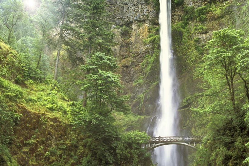 无人,横图,室外,白天,正面,旅游,度假,石头,美景,瀑布,森林,山,山脉,树林,水,植物,美国,飞溅,溅,石子,液体,高地,景观,山峰,水滴,山峦,娱乐,水珠,树,树木,绿色,自然,群山,享受,休闲,景色,放松,生长,成长,北美,北美洲,喷洒,自然风光,美洲,河谷,俄勒冈州,哥伦比亚河谷,俄勒冈,北亚美利加洲,亚美利加洲,落日之州,水獭之州,海狸州,哥伦比亚谷,哥伦比亚山谷,摩特诺玛瀑布,跌水,石块,岩石,彩图