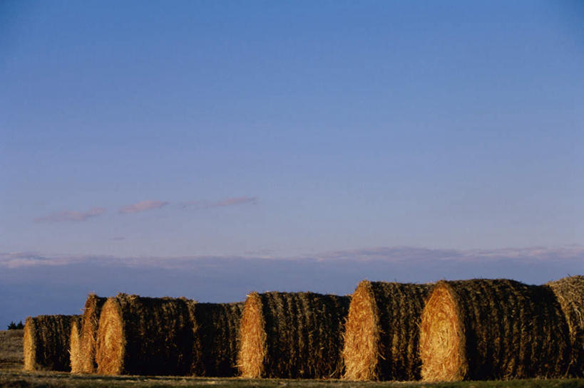 无人,横图,室外,白天,正面,旅游,度假,美景,日落,一排,收成,整齐,景观,晚霞,霞光,落日,干草,娱乐,排列,自然,黄昏,草垛,享受,休闲,景色,彩霞,放松,收获,队列,自然风光,夕照,劳绩,干草垛,夕阳,彩图,斜阳
