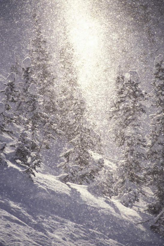 无人,竖图,室外,白天,正面,旅游,度假,石头,美景,森林,山,树林,雪,雪山,植物,暴风雪,大暴雪,大雪,美国,石子,冰,积雪,景观,山峰,雪景,冬季,冬天,山峦,娱乐,树,树木,绿色,自然,享受,休闲,景色,放松,寒冷,生长,成长,冰冷,北美,北美洲,犹他州,自然风光,美洲,沉积岩,北亚美利加洲,亚美利加洲,犹他,蜂窝之州,蜂房州,严寒,冰凉,酷寒,凛冽,凛凛,极冷,水成岩,石块,岩石,暴雪,彩图