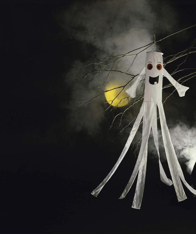 无人,竖图,室外,夜晚,正面,植物,吊挂,悬挂,节日,庆祝,月亮,枝条,月光,挂,文化,树,树木,树枝,黄色,庆典,万圣节,纪念,怪异,明亮,恐怖,幽灵,可怕,皎洁,可骇,独特,虬枝,枝杈,鬼魂,恐惧,彩图,拟人