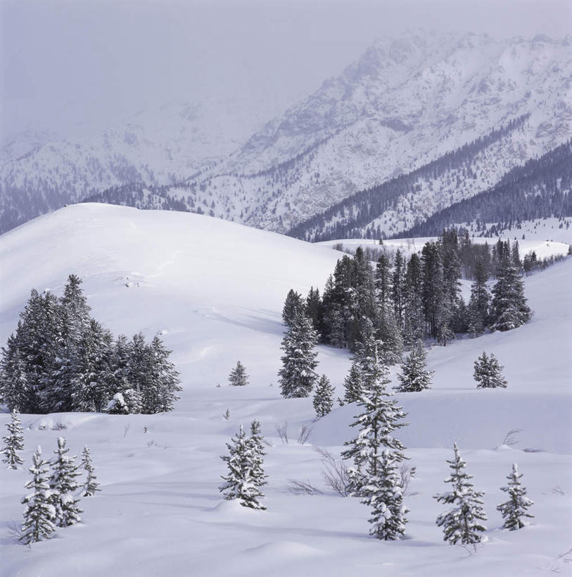 无人,竖图,室外,白天,正面,旅游,度假,美景,山,树林,雪,雪山,植物,大雪,城市,美国,冰,积雪,景观,山峰,雪景,冬季,冬天,山峦,娱乐,树,树木,绿色,自然,享受,休闲,景色,放松,寒冷,生长,成长,冰冷,北美,北美洲,自然风光,美洲,爱达荷州,北亚美利加洲,亚美利加洲,严寒,冰凉,酷寒,凛冽,凛凛,极冷,爱达荷,爱达华州,宝石之州,宝石州,太阳谷,森瓦利,谷峰会,彩图