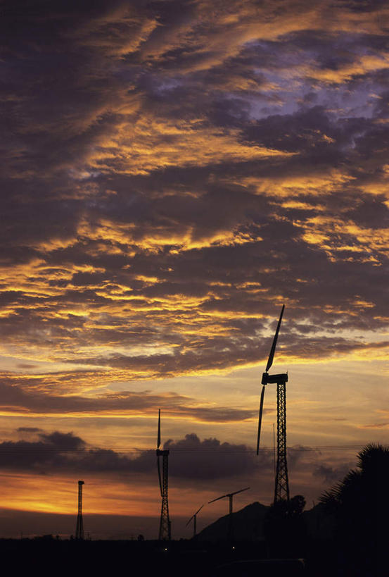 无人,竖图,室外,白天,仰视,旅游,度假,农业,风能,风力发电机,美景,日落,植物,风车,印度,亚洲,环保,电力,景观,晚霞,霞光,落日,背光,娱乐,设备,树,树木,绿色,自然,黄昏,享受,休闲,发电,机械,景色,彩霞,放松,工业,生长,能源,成长,资源,风力机,自然风光,南亚,逆光,利用,低碳,印度共和国,夕照,泰米尔纳德邦,泰米尔纳德,风力发电,夕阳,彩图,低角度拍摄,斜阳