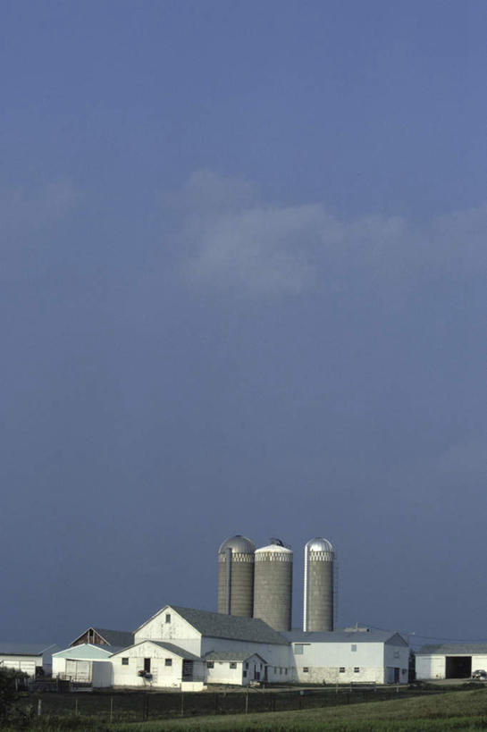 无人,家,工厂,竖图,室外,白天,正面,旅游,度假,草地,草坪,美景,植物,棕榈树,叶子,美国,房屋,屋子,景观,云,云朵,绿叶,云彩,娱乐,楼房,住宅,草,树,树木,蓝色,绿色,白云,蓝天,天空,自然,天,享受,休闲,嫩叶,景色,放松,生长,晴朗,成长,北美,北美洲,自然风光,美洲,棕榈叶,俄亥俄州,北亚美利加洲,亚美利加洲,俄亥俄,七叶树州,七叶果之州,叶,叶片,晴空,彩图,房子,工地,制造厂