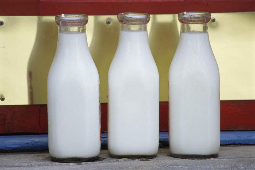 牛奶,无人,横图,室内,特写,白天,正面,一排,阴影,整齐,反射,影子,饮品,营养,玻璃制品,饮料,排列,三个,白色,玻璃瓶,瓶子,乳制品,奶,牛乳,队列,安神,彩图