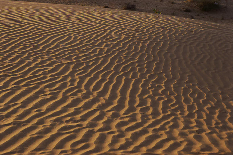 无人,横图,室外,白天,正面,旅游,度假,美景,沙漠,印度,亚洲,阴影,光线,纹路,纹理,影子,景观,娱乐,黄色,阳光,自然,享受,休闲,景色,放松,炎热,自然风光,南亚,肌理,拉贾斯坦邦,拉贾斯坦,印度共和国,酷热,燥热,大漠,砂漠,彩图