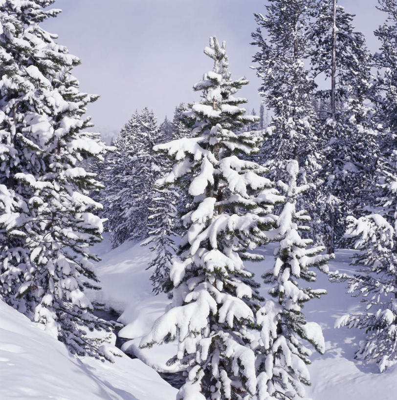 无人,竖图,室外,白天,正面,旅游,度假,美景,山,树林,雪,雪山,植物,大雪,城市,美国,冰,积雪,景观,山峰,雪景,冬季,冬天,山峦,娱乐,树,树木,绿色,自然,享受,休闲,景色,放松,寒冷,生长,成长,冰冷,北美,北美洲,自然风光,美洲,爱达荷州,北亚美利加洲,亚美利加洲,严寒,冰凉,酷寒,凛冽,凛凛,极冷,爱达荷,爱达华州,宝石之州,宝石州,太阳谷,森瓦利,谷峰会,彩图