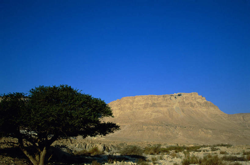 无人,横图,室外,白天,正面,旅游,度假,美景,山,山脉,植物,以色列,亚洲,阴影,枯萎,光线,影子,景观,山峰,枯草,山峦,娱乐,草,树,树木,黄色,蓝色,绿色,蓝天,天空,阳光,自然,群山,天,享受,休闲,景色,放松,生长,晴朗,成长,自然风光,西亚,万里无云,以色列国,死海,马萨达,圣地,犹地亚沙漠,晴空,晴空万里,彩图