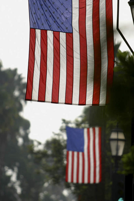 无人,竖图,室外,白天,正面,度假,美景,植物,城市风光,城市,路灯,旗帜,国旗,照明,两面,吊挂,悬挂,朦胧,模糊,景观,灯光,挂,娱乐,星条旗,灯,树,树木,绿色,自然,享受,休闲,景色,放松,美国国旗,生长,成长,照亮,照明设备,旗,彩图,美利坚合众国国旗