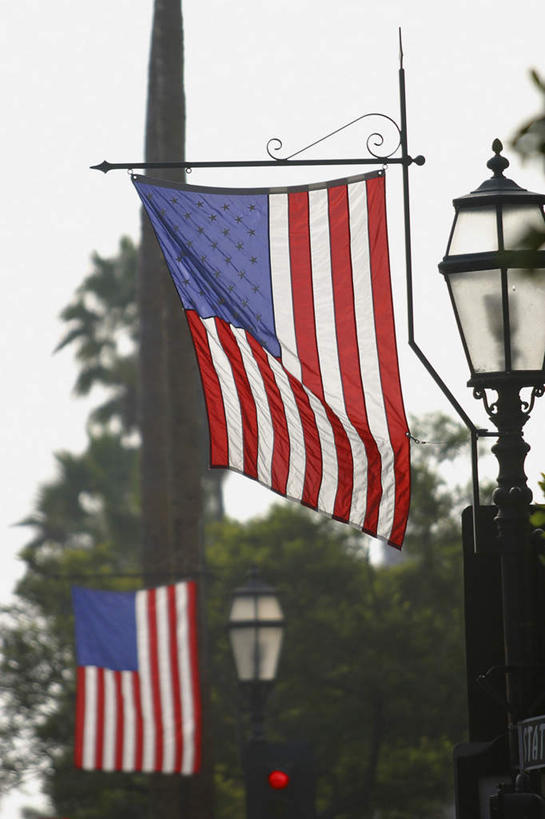 无人,竖图,室外,白天,正面,度假,美景,植物,城市风光,城市,路灯,旗帜,国旗,照明,两面,吊挂,悬挂,朦胧,模糊,景观,灯光,挂,娱乐,星条旗,灯,树,树木,绿色,自然,享受,休闲,景色,放松,美国国旗,生长,成长,照亮,照明设备,旗,彩图,美利坚合众国国旗