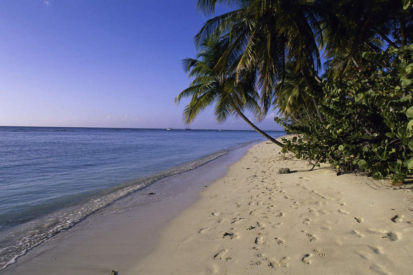 无人,横图,室外,白天,正面,旅游,度假,海浪,海洋,美景,沙滩,植物,棕榈树,叶子,特立尼达和多巴哥,阴影,光线,沙子,影子,海岸,景观,浪花,水平线,辽阔,绿叶,海平线,沙地,娱乐,树,树木,蓝色,绿色,蓝天,天空,阳光,自然,海水,天,享受,休闲,广阔,嫩叶,景色,放松,生长,晴朗,成长,一望无际,自然风光,美洲,海景,棕榈叶,万里无云,特立尼达和多巴哥共和国,亚美利加洲,中美,无边无际,一马平川,岛国,叶,叶片,大海,风浪,海,海水的波动,海滩,近岸浪,涌浪,晴空,晴空万里,彩图,水天相接,水天一线