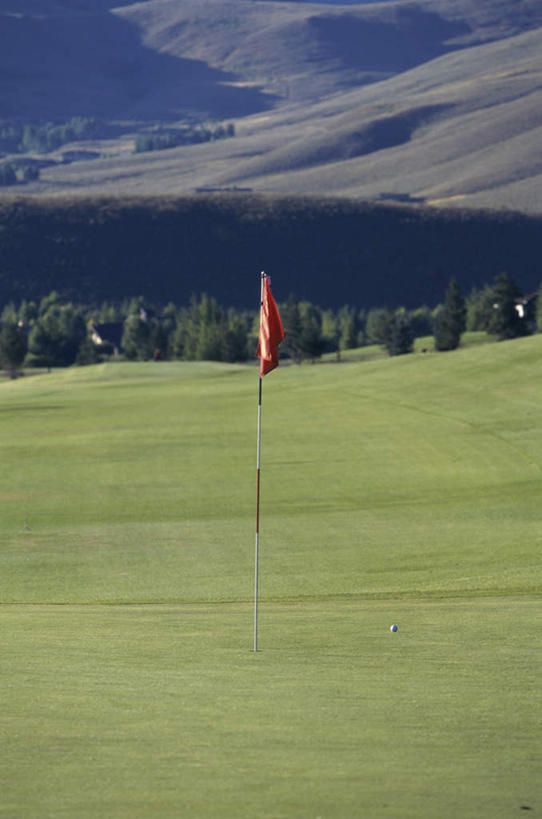 无人,竖图,室外,白天,正面,旅游,度假,草地,草坪,美景,植物,旗帜,阴影,光线,球洞,影子,景观,球场,娱乐,旗子,高尔夫球场,草,树,树木,绿色,阳光,自然,享受,休闲,景色,放松,生长,成长,高尔夫球洞,自然风光,绿茵场,旌旗,旗号,彩图