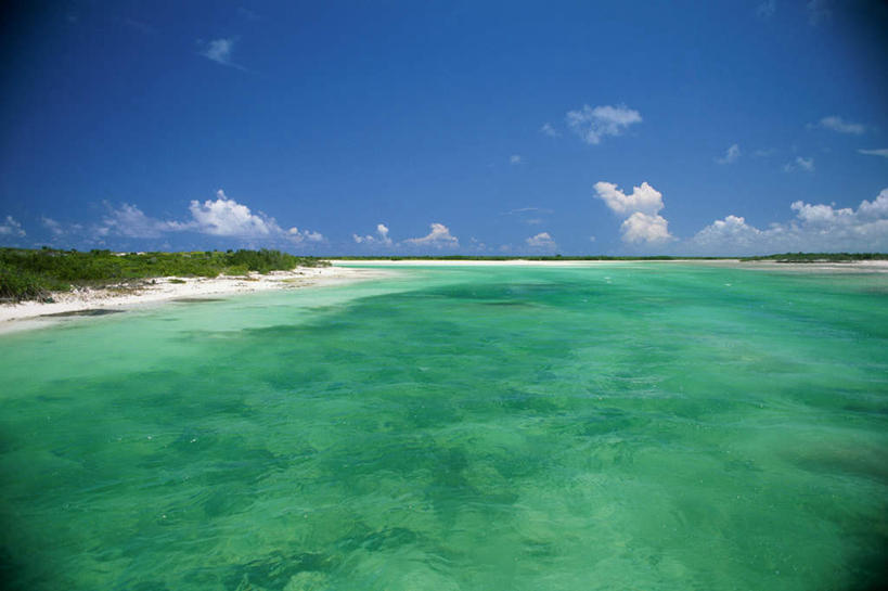 无人,横图,俯视,航拍,室外,白天,旅游,度假,岛屿,海浪,海洋,美景,沙滩,植物,棕榈树,叶子,阴影,光线,沙子,影子,岛,海岸,景观,浪花,水平线,云,云朵,辽阔,绿叶,海平线,沙地,云彩,娱乐,树,树木,蓝色,绿色,白云,蓝天,天空,阳光,自然,海水,天,享受,休闲,广阔,嫩叶,景色,南美,放松,生长,晴朗,成长,一望无际,南美洲,西印度群岛,拉丁美洲,鸟瞰,自然风光,美洲,海景,棕榈叶,亚美利加洲,南亚美利加洲,凯科斯群岛,特克斯群岛,无边无际,一马平川,叶,叶片,大海,风浪,海,海水的波动,海滩,近岸浪,列岛,群岛,涌浪,诸岛,晴空,彩图,高角度拍摄,水天相接,水天一线