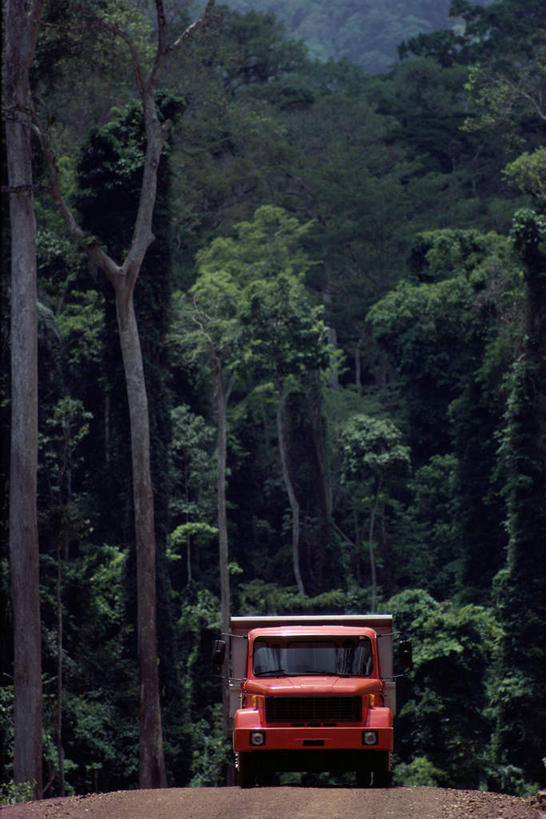 无人,竖图,室外,白天,正面,旅游,度假,美景,森林,树林,植物,道路,卡车,路,汽车,非洲,加纳,景观,小路,交通,娱乐,车,树,树木,红色,绿色,自然,交通工具,享受,休闲,景色,放松,生长,成长,自然风光,载具,阿非利加洲,西非,加纳共和国,彩图