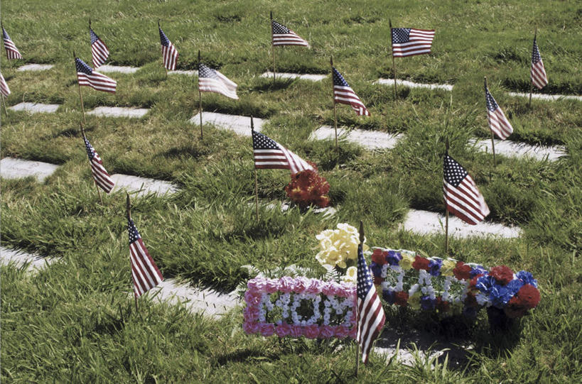 无人,横图,俯视,室外,白天,旅游,度假,草地,草坪,植物,标志建筑,地标,建筑,旗帜,国旗,美国,许多,飘扬,英文,标志,文字,字符,字母,建筑群,娱乐,标识,建设,星条旗,草,排列,绿色,享受,休闲,墓地,公墓,旅游胜地,放松,美国国旗,飘逸,英文字母,坟墓,陵墓,北美洲,飞扬,美洲,坟场,弗吉尼亚,弗吉尼亚州,阿灵顿国家公墓,阿灵顿,北亚美利加洲,亚美利加洲,维吉尼亚,老自治领州,摆列,阿灵顿县,阿灵顿公墓,旗,彩图,高角度拍摄,美利坚合众国国旗,布列,分列
