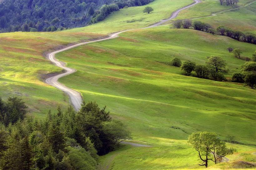 无人,公园,横图,俯视,室外,白天,旅游,度假,草地,草坪,美景,树林,植物,道路,路,公路,美国,曲折,弯曲,景观,交通,娱乐,草,树,树木,绿色,自然,享受,休闲,景色,放松,蜿蜒,生长,成长,北美,北美洲,国家公园,加利福尼亚,自然风光,美洲,加州,加利福尼亚州,金州,黄金州,北亚美利加洲,亚美利加洲,红杉国家公园,红杉树国家公园,马路,彩图,高角度拍摄