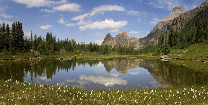 无人,公园,横图,室外,白天,正面,旅游,度假,草地,草坪,湖,湖泊,花海,花圃,美景,山,山脉,水,植物,叶子,加拿大,阴影,盛开,光线,影子,湖面,景观,山峰,水流,水面,云,云朵,山峦,花蕾,云彩,娱乐,草,花,花瓣,花朵,花卉,鲜花,树,树木,蓝色,绿色,白云,蓝天,天空,阳光,自然,湖水,花丛,花束,花田,群山,天,花苞,花蕊,享受,休闲,景色,放松,生长,晴朗,成长,北美,北美洲,国家公园,自然风光,美洲,北亚美利加洲,亚美利加洲,卑诗省,不列颠哥伦比亚,不列颠哥伦比亚省,优鹤国家公园,幽鹤国家公园,晴空,彩图