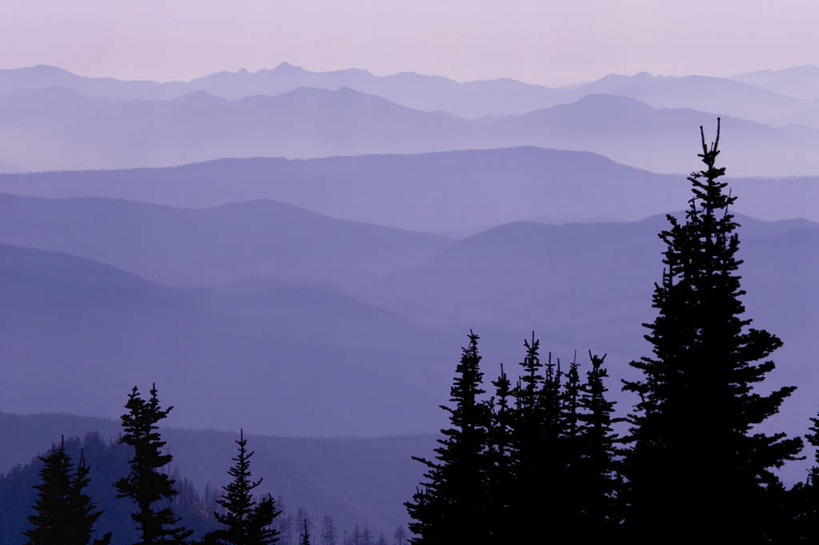 无人,横图,俯视,室外,白天,旅游,度假,日出,火山,美景,山,山脉,太阳,植物,华盛顿,美国,景观,山峰,朝霞,晨曦,黎明,山峦,娱乐,树,树木,绿色,阳光,自然,群山,享受,休闲,景色,放松,生长,成长,北美,北美洲,自然风光,美洲,华盛顿州,西雅图,雷尼尔山国家公园,瑞尼尔山国家公园,常绿之州,常青州,北亚美利加洲,亚美利加洲,绿宝石城,翡翠之城,雨城,常绿之城,阿拉斯加门户,女王之城,喷气机之城,常青城,活火山,朝阳,彩图,高角度拍摄,破晓