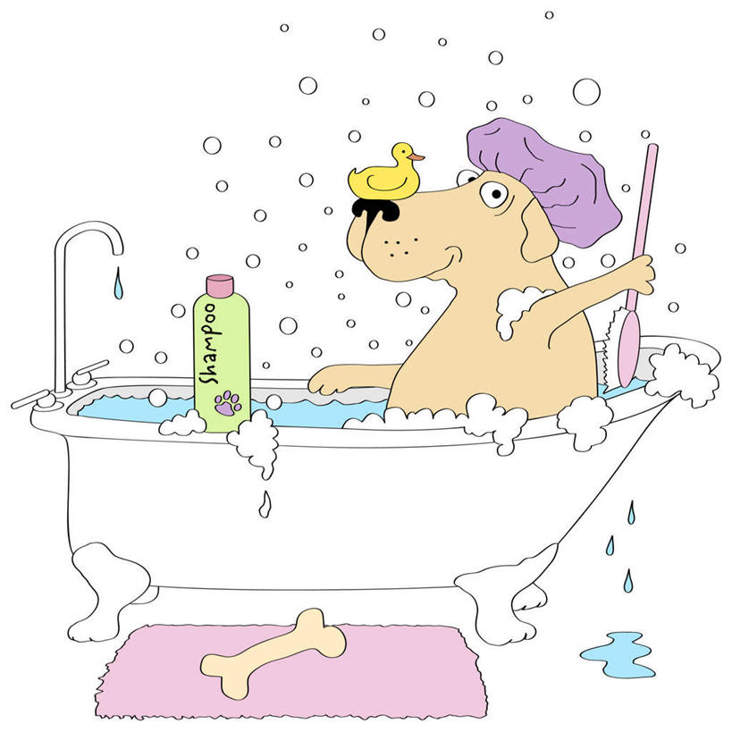 无人,躺,笑,微笑,方图,插画,室内,白天,白色背景,侧面,洗澡,数码,科技,水,卫生间,浴室,宠物,狗,帽子,握,阴影,飞溅,溅,反射,网络,泡沫,水龙头,液体,影子,浴帽,水滴,高光,几何,计算机图形,拿,合成,图画,拿着,扭头,注视,干净,开关,画,水珠,一只,动物,刷子,浴缸,打开,观察,看,清洁,享受,健康,放松,可爱,握着,保健,观看,阀门,电脑合成图,数码合成图,察看,卫生,开启,合成图,沐浴刷,关注,喷洒,清洁用具,漫画,卫浴设备,忠诚,写实,具体,具象,泡汤,水咀,洗浴用具,水管装置,防水帽,沐浴帽,洗浴帽,洗澡帽,卧着,淋浴房,犬,躺着,卧,彩图,全身,沐浴,冲凉房,沐浴间,沐浴室