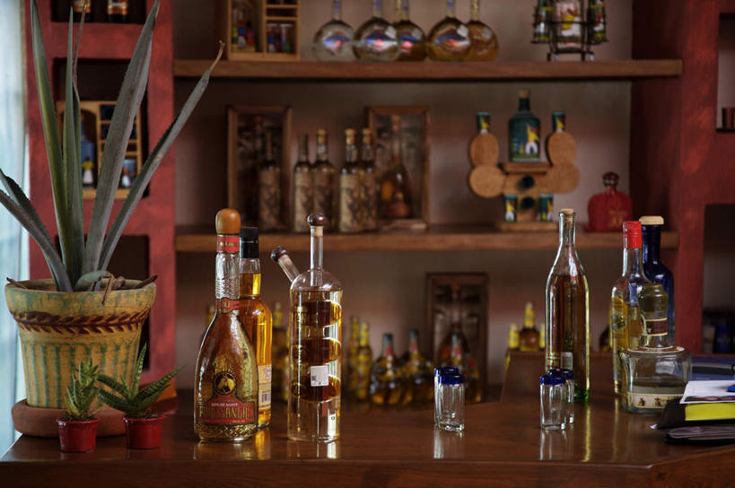 无人,酒吧,横图,室内,白天,正面,植物,餐桌,桌子,一排,许多,阴影,整齐,反射,木制,盆栽,影子,盆景,伏特加,酒类,文化,玻璃制品,酒,饮料,排列,绿色,自然,玻璃瓶,木制品,瓶子,鸡尾酒,调酒,生长,成长,餐台,创造,队列,想象,蒸馏酒,特其拉日出,特其拉日出鸡尾酒,彩图,酒吧间,酒馆