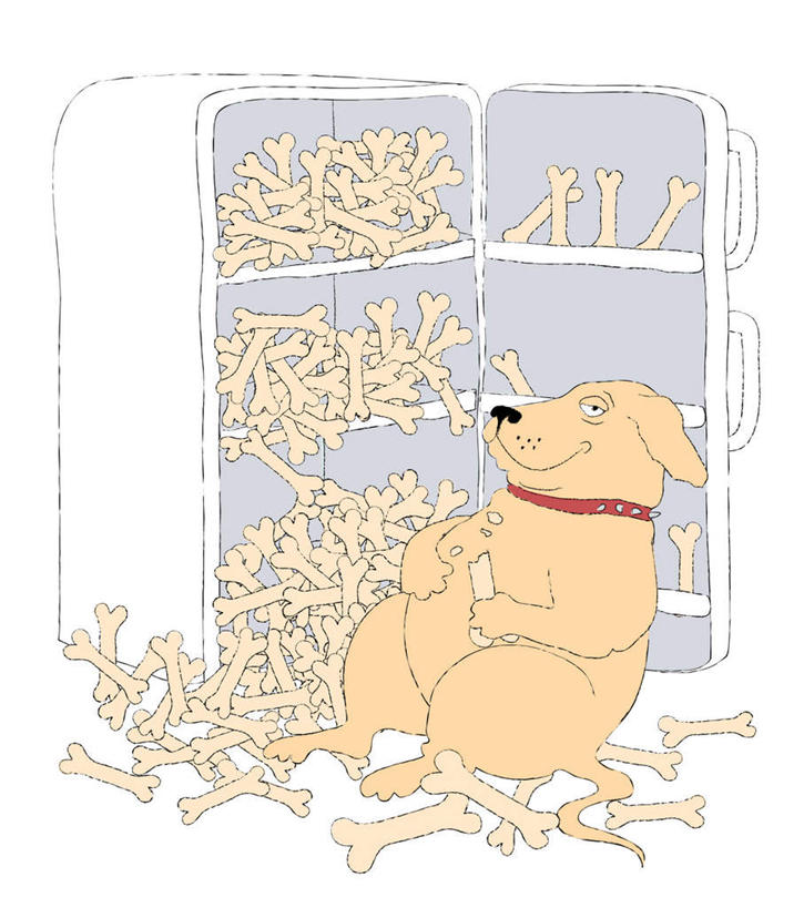 点心,无人,坐,竖图,插画,室内,白天,白色背景,正面,数码,科技,宠物,狗,椅子,一堆,许多,阴影,堆叠,堆积,网络,电器,冰箱,食品,很多,高光,几何,计算机图形,营养,合成,图画,注视,冷冻,冷柜,画,食物,动物,冷藏柜,饼干,零食,观察,看,可爱,冷藏,观看,储藏,堆,电脑合成图,数码合成图,察看,家电,家用电器,合成图,狗粮,关注,饲料,漫画,忠诚,写实,具体,具象,保鲜,犬,坐着,彩图,全身,狗饼干,犬粮