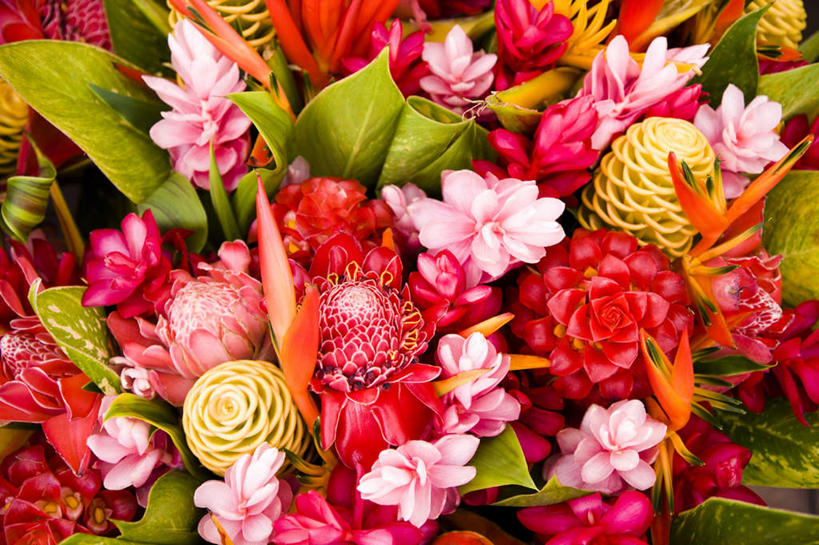 无人,横图,俯视,室外,白天,花海,花圃,美景,植物,鹤望兰,叶子,许多,盛开,景观,绿叶,很多,花蕾,花,花瓣,花朵,花卉,鲜花,黄色,红色,绿色,自然,花丛,花束,花田,花苞,花蕊,嫩叶,景色,高雅,清新,自然风光,瓷玫瑰,火炬姜,极乐鸟花,天堂鸟,叶,叶片,彩图,高角度拍摄,蜂巢姜,黄球姜