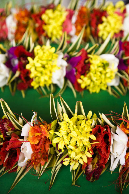 无人,商店,竖图,俯视,室内,特写,白天,购物,消费,一排,许多,整齐,装饰,盛开,花环,很多,花蕾,商铺,花,花瓣,花朵,鲜花,排列,花苞,花蕊,金融,华丽,修饰,点缀,队列,大洋洲,选购,贸易,塔希提岛,法属波利尼西亚,社会群岛,大溪地,衬托,美观,雅致,雅观,血拼,法属玻利尼西亚,市肆,商号,塔西提岛,彩图,高角度拍摄,店铺